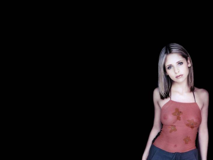 Обои на рабочий стол. Сексуальные Девушки #27