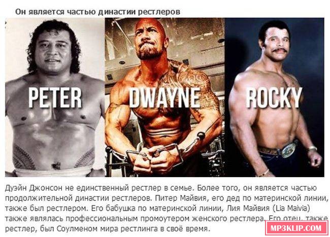 Факты из жизни Дуэйна Джонсона