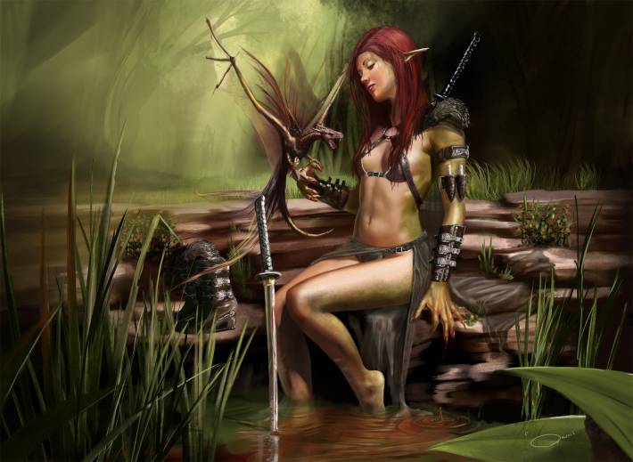 assasin, девушка, эльф, дракон