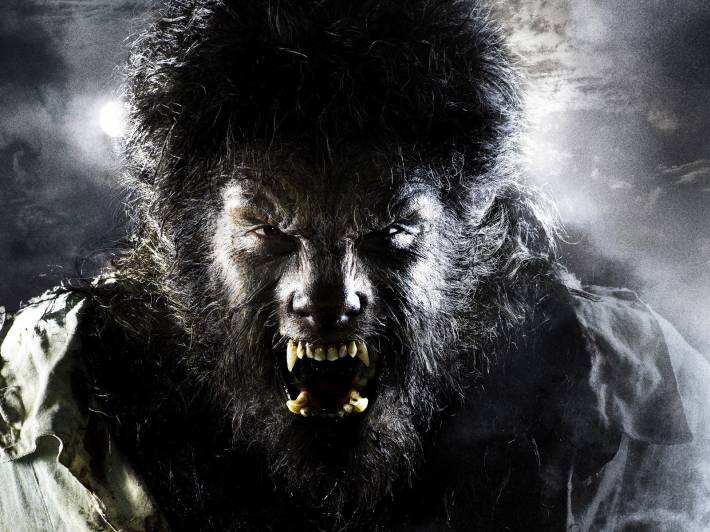 the wolfman, человек-волк, бенисио дель торо