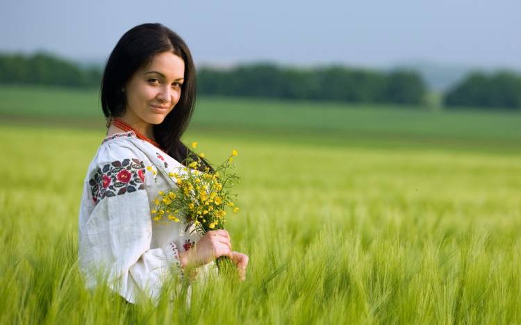 девушка, поле, лето, цветы   - картинка на рабочий стол