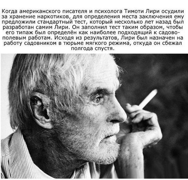 Интересные факты о знаменитых людях