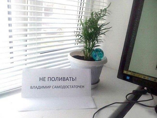 Боги объявлений