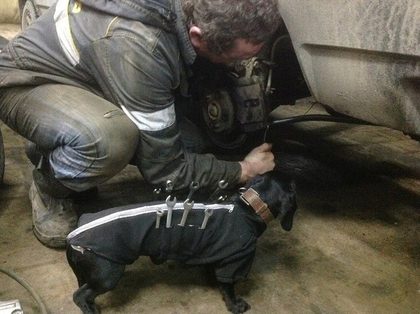 Сотрудник автосервиса.