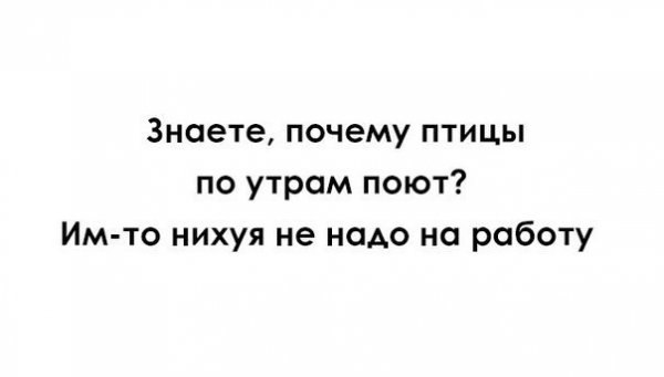 Доброе утро)