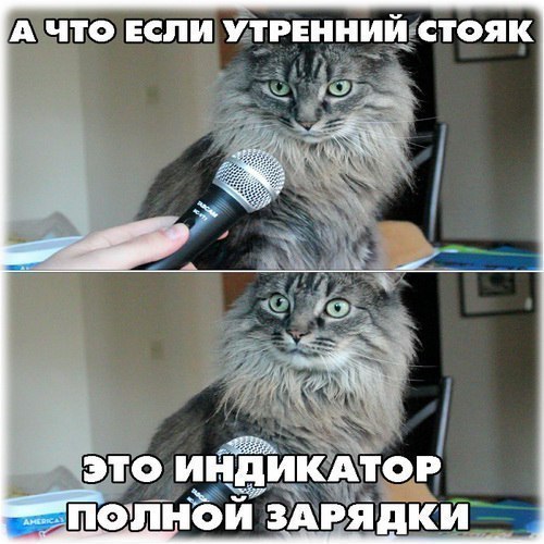 Вдруг правда...