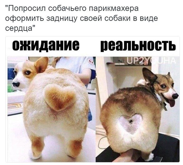 Сердечные дела
