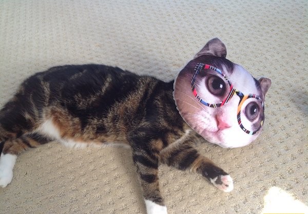 Прикольные фото, утренний выпуск - 30.10.2017