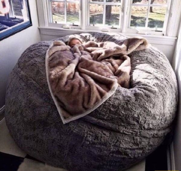 Прикольные фото, вечерний выпуск - 20.10.2017