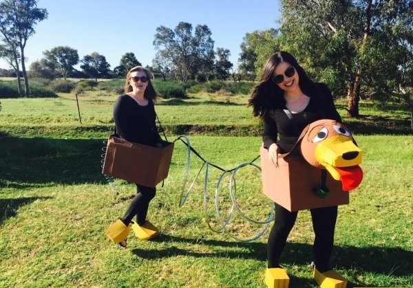 Прикольные фото, вечерний выпуск - 26.10.2017