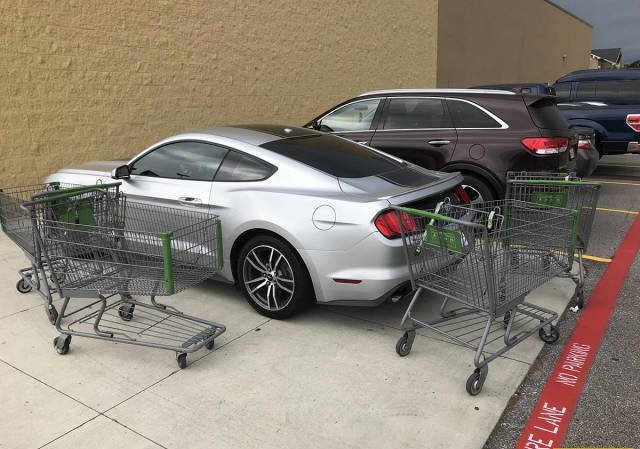 Прикольные фото для взрослых, вечерний выпуск - 01.11.2017