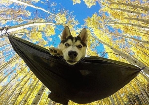 Прикольные фото для взрослых, воскресный выпуск - 19.11.2017