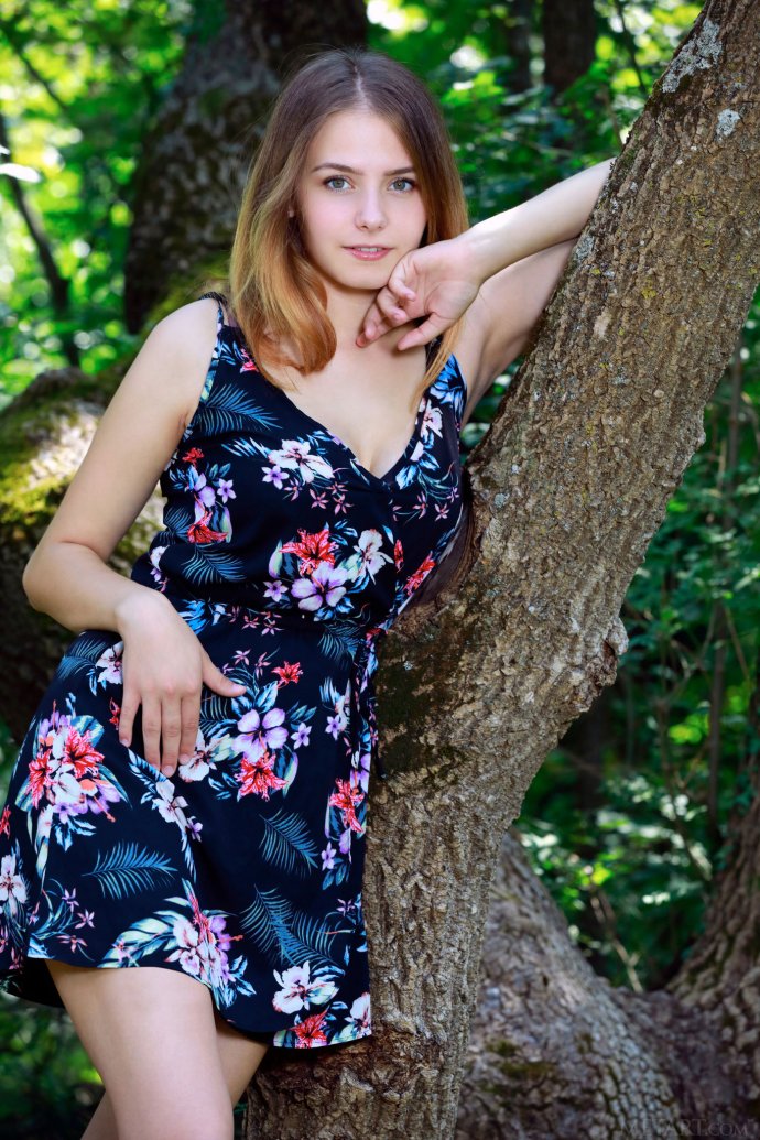 Dakota Pink Nature Peak By Met Art