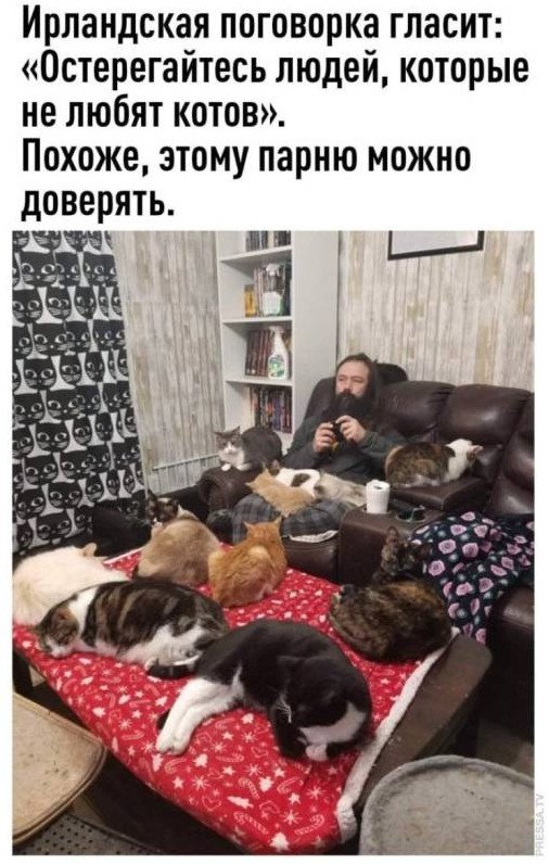 Мощные независящие изящные женщины на фото
