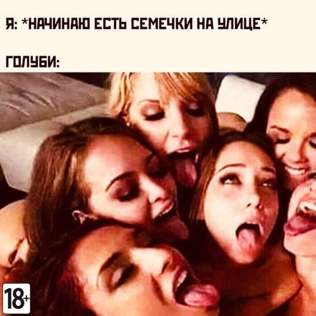 Смешные картинки с надписями на пошлые темы