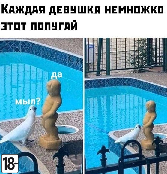 Мемы и картинки с непристойным юмором.